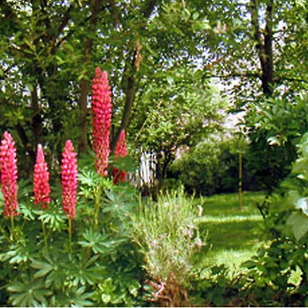 ホテル アエロテル ベルサイユ サンシル - レタプ デュ シロンス 3*