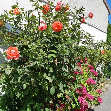 アエロテル ベルサイユ サンシル - レタプ デュ シロンス ホテル 3*